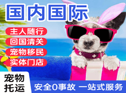瑷珲航空物流国际宠物托运 【国